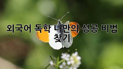 외국어 독학, 나만의 성공 비법 찾기