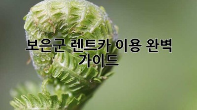 보은군 렌트카 이용 완벽 가이드