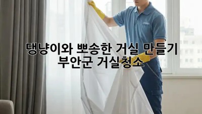 🐾 댕냥이와 뽀송한 거실 만들기! #부안군 #거실청소 ✨
